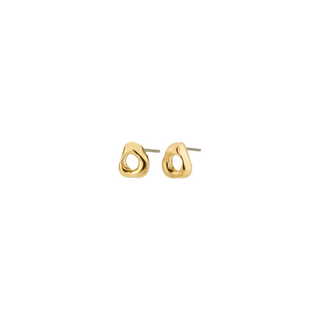FREE earrings