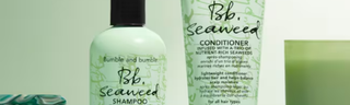 Bb. Seaweed