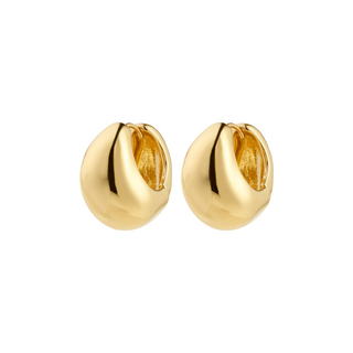 FREE hoop earrings