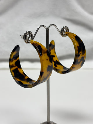 Carter Leo Hoops