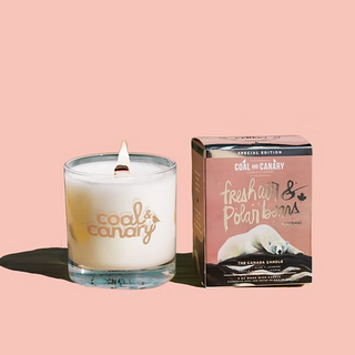 Fresh Air & Polar Bears - The Canada Candle