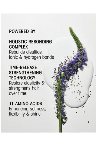 Hair Alchemy Bond Building Elixir