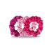 Rose All Day